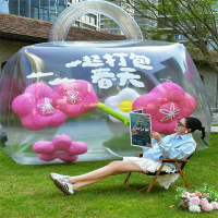 超大显眼包巨型PVC双层闭气气模(2.5米高透明包+里面花朵带花杆的1个+不带花杆的4个)