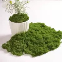 仿真苔藓造景假青苔植物装饰人造仿生草坪 100份起售