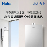 海尔 JSQ25-13ZM5DMCG 燃气热水器 13升水气双调精准恒温 天然气 二级能效