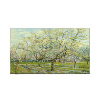 创维(Skyworth) W55D 液晶电视机 55英寸 3+32G 无缝贴墙 28MM超薄