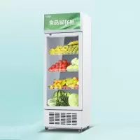扬子 单门食品留样柜-单锁款55*52*163cm 单位:台