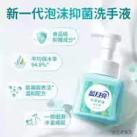 蓝月亮鲜果薄荷泡沫抑菌洗手液255g