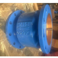 富羽(FUYU) HC41X-10;立式止回阀 DN250