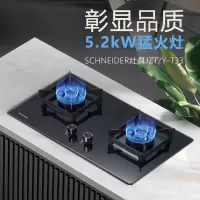 施耐德(Schneider)燃气灶双灶5.0KW猛火灶一级能效液化气煤气罐 全进风大火力台嵌两用JZY-T33