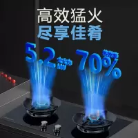 施耐德(Schneider)燃气灶双灶5.2KW猛火灶一级能效天然气 全进风大火力台嵌两用JZT-B31