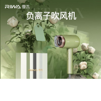 雷瓦 高速电吹风RC-7858