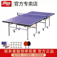 红双喜(DHS)乒乓球桌室内单折式训练比赛用乒乓球台T2023附网架/球拍/乒乓球