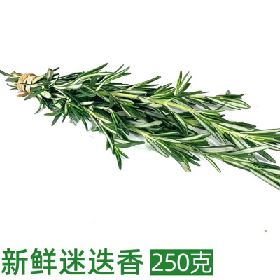 可食用香料西餐煎牛排烧烤烘焙调料摆盘装饰 100g/份