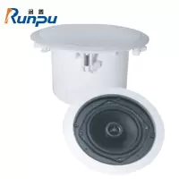润普(Runpu)国产化会议室展厅教室礼堂报告厅/定阻吸顶音响6英寸音箱喇叭扬声器一只RP-HYD650