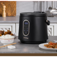 山水(SANSUI)2L迷你智能电饭煲SF-F20C