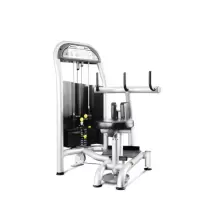 万年青 高级商用扭腰训练器 F1-5009
