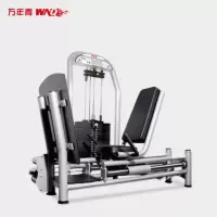 万年青 高级商用蹬腿训练器 F1-5203