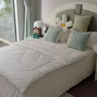 福芳床上用品纤维被云丝被/床