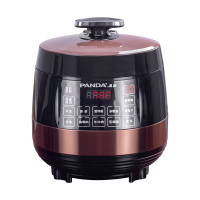 PANDA熊猫双胆电压力锅 TRYLG1512