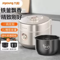 九阳迷你电压力锅小电压锅智能预约高压锅家用小容量多功能高压饭锅2人 30C9榛果金 3L