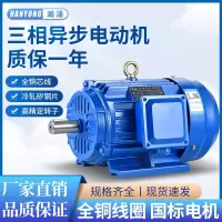 大迈质造三相电动机YE3-112M-4
