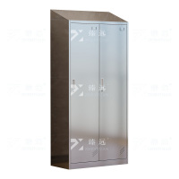 臻远 ZY4111401 201不锈钢斜顶更衣柜员工宿舍储物柜 二门更衣柜