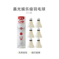晨光文具 羽毛球娱乐级(6只装) AST09310