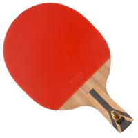 红双喜(DHS) 七星直拍乒乓球拍H7006直拍单拍