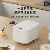 荣事达微电脑电饭煲RFB-S40DR6
