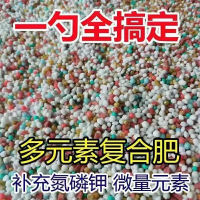 高效复合肥释缓型氮磷钾微量元素颗粒全营养家用通用花卉肥料长效[花色]多元素复合肥 1斤(50斤起订)