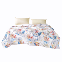 富安娜(fuanna)半夏采薇七孔抑菌印花夏被203X229(单位:条)
