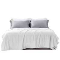 富安娜(fuanna)舒妍蚕丝夏被203X229cm(单位:条)