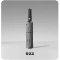 天堂伞 TTS全自动常规款一键开收易甩干晴雨伞 三折-10骨-天际灰