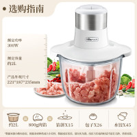 小熊(Bear)绞肉机家用 绞馅机 电动多功能料理搅拌机打肉机饺子肉馅蒜蓉机 QSJ-C03A1 约2L
