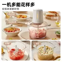小熊(Bear)绞肉机家用 绞馅机 碎肉机 电动多功能料理搅拌打肉饺子肉馅蒜蓉机 QSJ-E03B2绞肉机双刀款