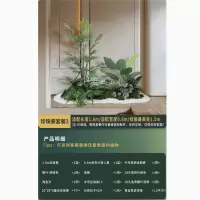 仿真绿植造景组合露营风室内楼梯下拐角装饰布置假树景观植物摆设 珍珠葵套餐2