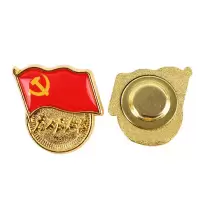 嘉然恒新款标准党徽党员胸章为人民服务徽章镀金工艺不易褪色磁扣款12枚装