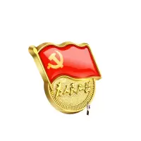 金隆兴标准款党徽胸章磁扣党员徽章为人民服务胸针蝴蝶扣式10个装9366