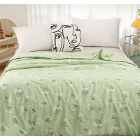 洁丽雅 Grace水洗夏被-清风夏日