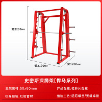 盛桐威训练器深蹲卧推举重综合力量运动器械 史密斯机方管(红色)