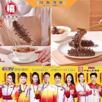 筱岛海参 大连鲜食系列海参 深海捕捞野生辽刺参 9A每斤9—11头礼盒装