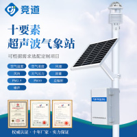 竞道光电 小型超声波气象站 雨量辐射光照一体式无线监测站 CQX10十要素