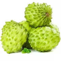 顺丰快递[苏鲜生]福建凤梨释迦果 净重5斤 果王 单果450g+ 精选释迦果 牛奶释迦番荔枝 佛头果