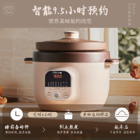 小熊(Bear)紫砂锅电炖锅电砂锅家用 电炖盅5L大容量内胆煲汤 DDG-D50N1