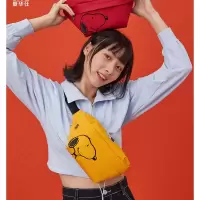 爱华仕腰包OCY5653
