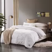 罗莱生活出品乐蜗LOVO家纺 素睿澳毛四季被200*230cm