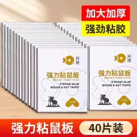 兴洽强力粘鼠板白色40张