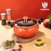 诺顿NORTON 可米南瓜微压锅8L 3TKM026
