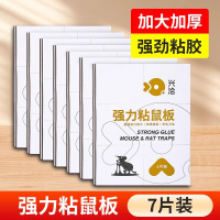 兴洽强力粘鼠板白色7张