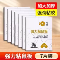 兴洽强力粘鼠板白色7张