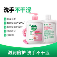 滴露(Dettol)洗手液 滋润倍护 500g*2