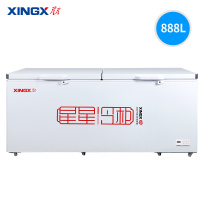 星星(XINGX)888升大容量BD/BC-888GD商用冷柜冷藏冷冻转换保鲜冰柜雪糕丸子肉类速冻雪糕柜