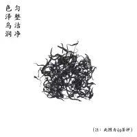 伍刻[坦洋红茶·酣畅淋漓]春美人 金牡丹蜜桃香奶香坦洋工夫伍刻70g