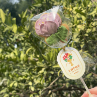 樱花棒棒糖饼干 樱花饼干4cm/1支