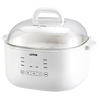 LOTOR电炖锅2.5L家用炖汤锅大容量电蒸锅单胆款D31-JKC-BS